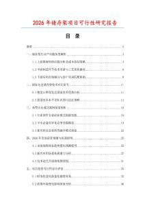 2026年儲(chǔ)存架項(xiàng)目可行性研究報(bào)告