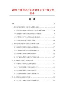 2026年鍍鋅光桿瓦楞釘項(xiàng)目可行性研究報(bào)告