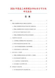 2026年聚氟乙烯薄膜拉伸機(jī)項(xiàng)目可行性研究報(bào)告