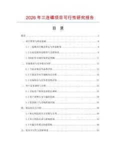 2026年三连碟项目可行性研究报告