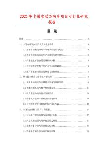 2026年卡通電動萬向車項目可行性研究報告