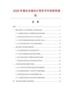 2026年透光式液位計項目可行性研究報告