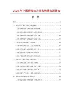 2026年中國鋼帶動力發條數據監測報告