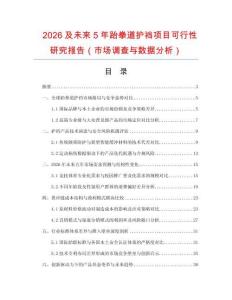 2026及未來5年跆拳道護襠項目可行性研究報告（市場調(diào)查與數(shù)據(jù)分析）