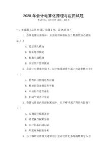 2025年會計(jì)電算化原理與應(yīng)用試題