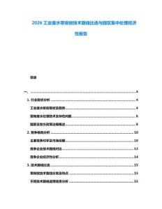 2026工業(yè)廢水零排放技術路線比選與園區(qū)集中處理經(jīng)濟性報告