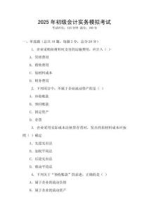 2025年初級會計(jì)實(shí)務(wù)模擬考試