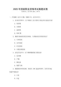 2025年國家職業(yè)資格考試真題試卷