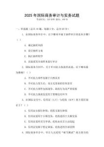 2025年國際商務審計與實務試題