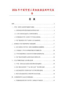 2026年中國窄型三角銼數據監測研究報告