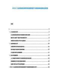 2026工業(yè)視覺檢測系統(tǒng)精度提升與智能制造融合報告