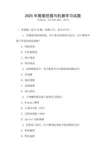 2025年數據挖掘與機器學習試題