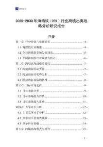 2025-2030年海绵铁（DRI）行业跨境出海战略分析研究报告