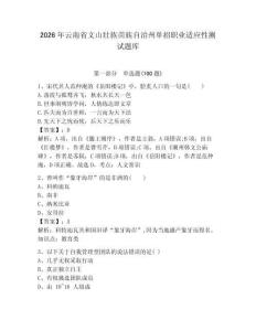2026年云南省文山壯族苗族自治州單招職業(yè)適應(yīng)性測(cè)試題庫(kù)及答案1套