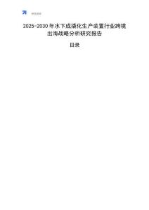 2025-2030年水下成撬化生產裝置行業跨境出海戰略分析研究報告