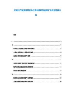 安哥拉石油資源開發(fā)合作現(xiàn)狀調(diào)研及能源礦業(yè)投資項目分析