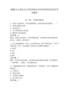 2026年云南省文山壯族苗族自治州單招職業(yè)適應(yīng)性考試題庫必考題