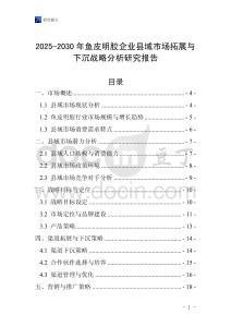 2025-2030年魚皮明膠企業(yè)縣域市場(chǎng)拓展與下沉戰(zhàn)略分析研究報(bào)告