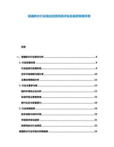 堵漏防水行業(yè)商業(yè)投資風險評估及融資策略手冊