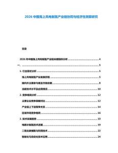 2026中國海上風電制氫產(chǎn)業(yè)鏈協(xié)同與經(jīng)濟性測算研究