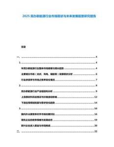 2025民辦新能源行業(yè)市場現(xiàn)狀與未來發(fā)展前景研究報告
