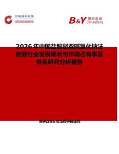 2026年中國鹽酸罌粟堿氯化鈉注射液行業發展現狀與市場占有率及排名研究分析報告
