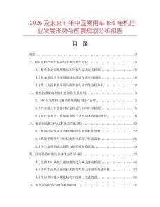 2026及未來5年中國乘用車BSG電機(jī)行業(yè)發(fā)展形勢(shì)與前景規(guī)劃分析報(bào)告