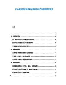 動力電池回收利用技術路線與經(jīng)濟性測算研究報告