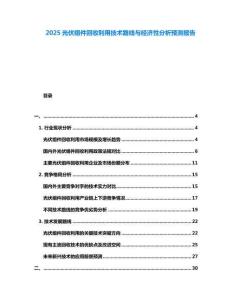2025光伏組件回收利用技術路線與經(jīng)濟性分析預測報告