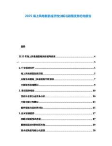 2025海上風電制氫經(jīng)濟性分析與政策支持方向報告