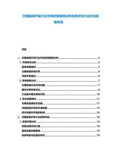 巴西能源開發(fā)行業(yè)市場供需格局分析投資評估行業(yè)方向發(fā)展布局