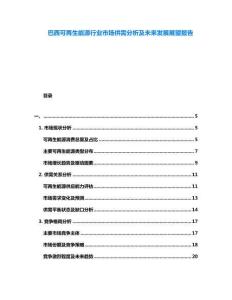 巴西可再生能源行業(yè)市場供需分析及未來發(fā)展展望報告