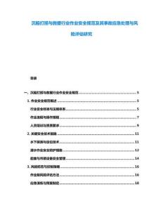 沉船打撈與救援行業作業安全規范及其事故應急處理與風險評估研究