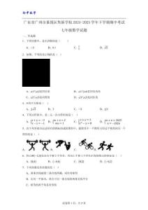 廣東省廣州市番禺區雋新學校2024-2025學年下學期期中考試七年級數學試題（附解析）