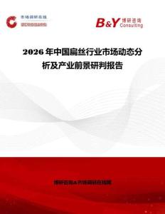 2026年中國扁絲行業(yè)市場動態(tài)分析及產(chǎn)業(yè)前景研判報告