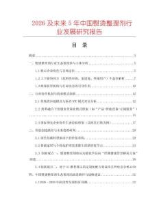 2026及未來5年中國熨燙整理劑行業發展研究報告