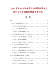 2026及未來(lái)5年中國(guó)自控球閥帶手輪機(jī)構(gòu)行業(yè)投資前景及策略咨詢報(bào)告