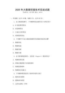 2025年大數據挖掘技術實戰試題