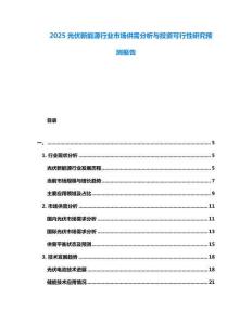 2025光伏新能源行業(yè)市場(chǎng)供需分析與投資可行性研究預(yù)測(cè)報(bào)告