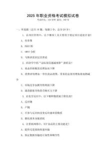 2025年職業(yè)資格考試模擬試卷