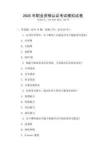 2025年職業(yè)資格認(rèn)證考試模擬試卷