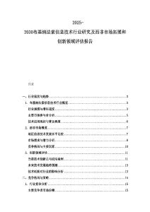 2025-2030布基納法索信息技術(shù)行業(yè)研究及西非市場(chǎng)拓展和創(chuàng)新領(lǐng)域評(píng)估報(bào)告