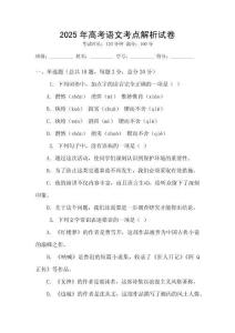 2025年高考語(yǔ)文考點(diǎn)解析試卷