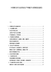 中國滑石礦行業勞動生產率提升與管理優化報告