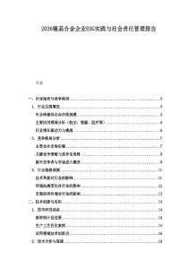 2026鎳基合金企業(yè)ESG實(shí)踐與社會(huì)責(zé)任管理報(bào)告