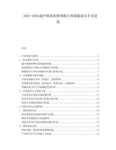 2025-2030超聲納米控釋肉眼尺度錨鏈旋具手術(shù)進(jìn)退