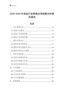 2025-2030年巖鹽行業跨境出海戰略分析研究報告
