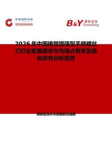 2026年中國橡塑增強(qiáng)型手柄螺絲刀行業(yè)發(fā)展現(xiàn)狀與市場(chǎng)占有率及排名研究分析報(bào)告