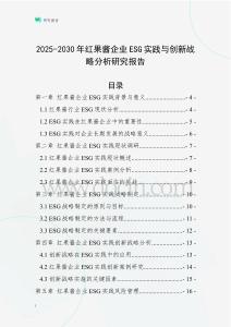 2025-2030年紅果醬企業(yè)ESG實(shí)踐與創(chuàng)新戰(zhàn)略分析研究報(bào)告
