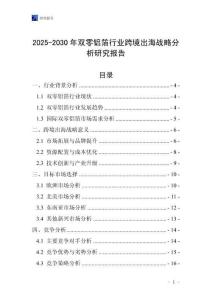 2025-2030年双零铝箔行业跨境出海战略分析研究报告